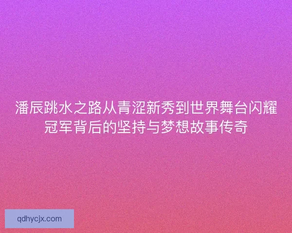 潘辰跳水之路从青涩新秀到世界舞台闪耀冠军背后的坚持与梦想故事传奇