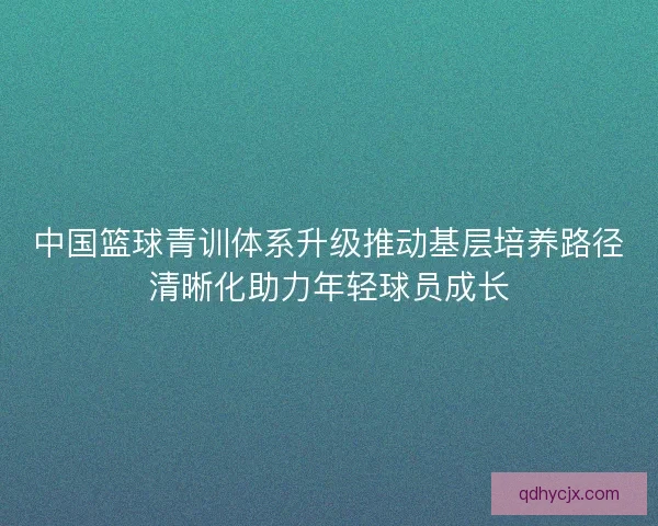 中国篮球青训体系升级推动基层培养路径清晰化助力年轻球员成长